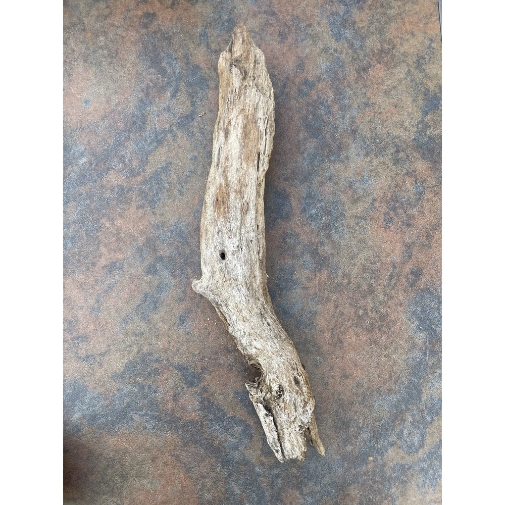 Natural Driftwood for Plants Terrarium Taxidermy Art Projects